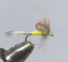 One Dozen (12) - CDC Loop Wing Emerger - Sulphur - Dry Fly