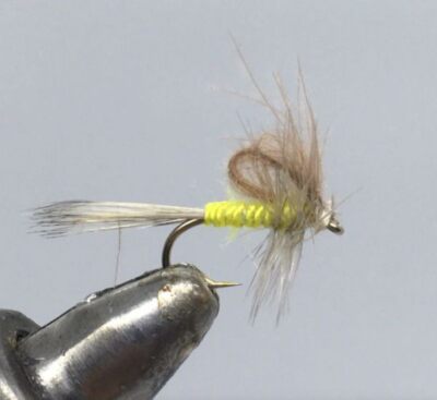 One Dozen (12) CDC Loop Wing Emerger Sulphur, Dry Fly- Strike Fly Company