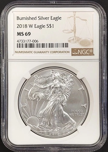 2018 W Burnished Silver Eagle certified MS 69 by NGC! NO RESERVE!