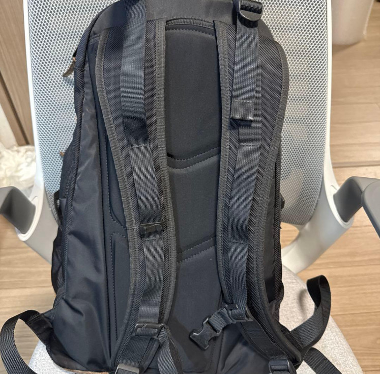 Visvim 20L Ballistic Black Backpack Rucksack Limi… - image 4