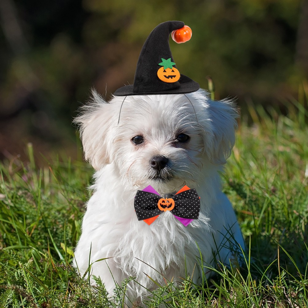 Costumi Per Cani Accessori Halloween Kit Vestire Animali Domestici foto 3