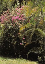 DOM-TOM-MARTINIQUE BASSE