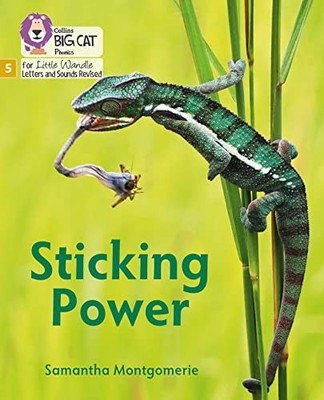 BIG CAT LW L S STICK POWER by Samantha Montgomerie Paperback Self Help Business