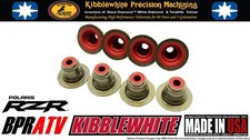 Polaris XP 900 1000 Kibblewhite RED Viton Val...