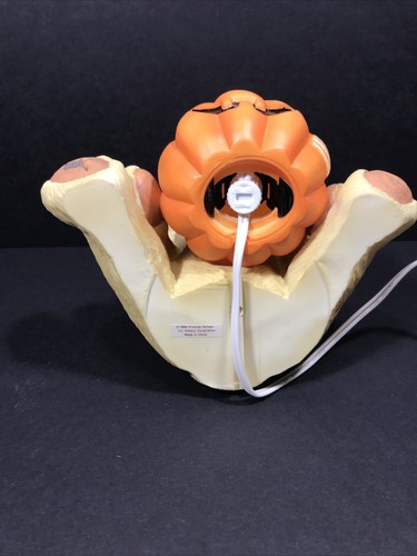 Cherished Teddies Bear Pumpkin Nightlight Halloween Blow Mold 617199 Vtg - 第 15/18 張圖片