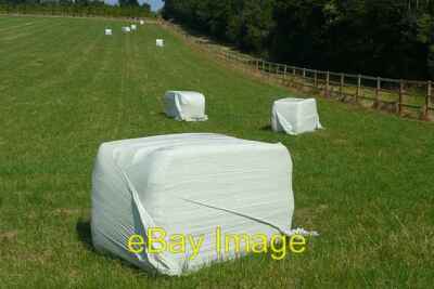 Foto 6x4 Silage kürzlich geschnitten Tidmarsh Dies ist eine Option.  Wrap it where c2008