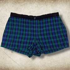 Vintage Jantzen Men's 1960s Plaid Swim Shorts Trunks USA Made Size 36 2  Inseam