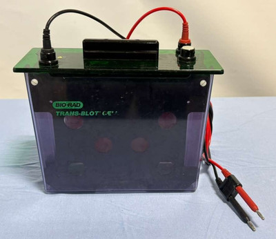 Bio-Rad Trans-Blot Cell Transfer System Part 9204090