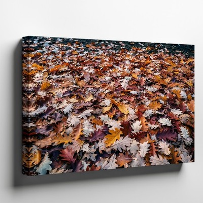 Dense carpet of autumn leaves blankets the ground, presenting a rich Wall Art