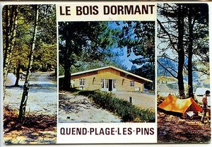 Details About Cp 80 Somme Quend Plage Les Pins Camping Le Bois Dormant Multivues