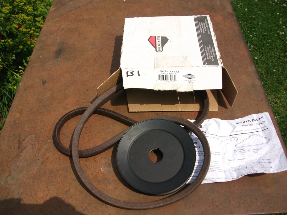 Protezione Cinghia Tagliaerba Tosaerba ORIGINALE BRIGGS & STRATTON - Foto 8