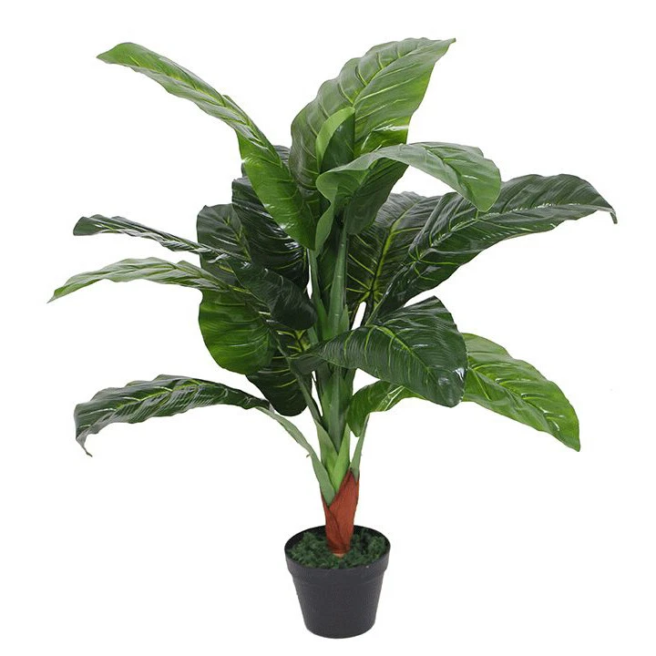 105cm Elephant Ear - 7051