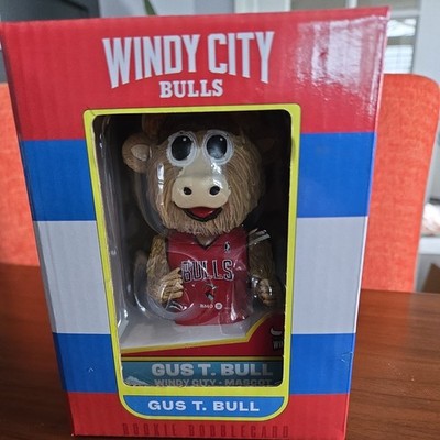 New Boxed Gus T Bull BobbleCard(head): From The Windy City Bulls' 1/3/2026 Game