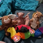 Ty Beanie Babies LOT of 5 in photo ~ Vintage Stuffed Animals w TAGS 1990s Plush