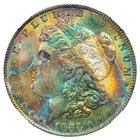 1884-O NGC MS64+ (CAC) MORGAN $ - GORGEOUS SPECIMEN - RAINBOW TONED (VIDEO)