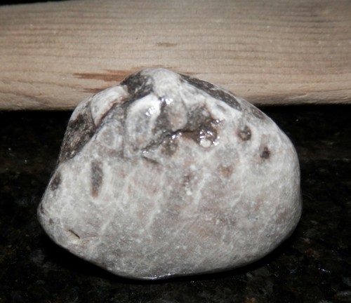 3 pcs Driftwood + 6 Petoskey Stones Crafts Northport Lake Michigan Cathead Bay - Picture 5 of 12