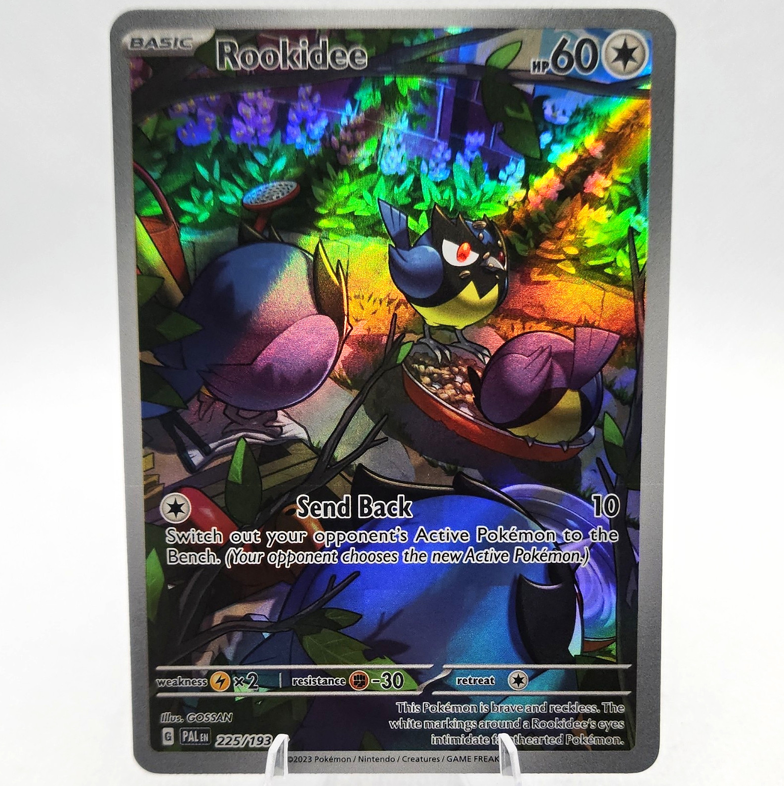 The Pokémon Company Rookidee Illustration Rare Holo 225/193 Paldea Evolved Eng
