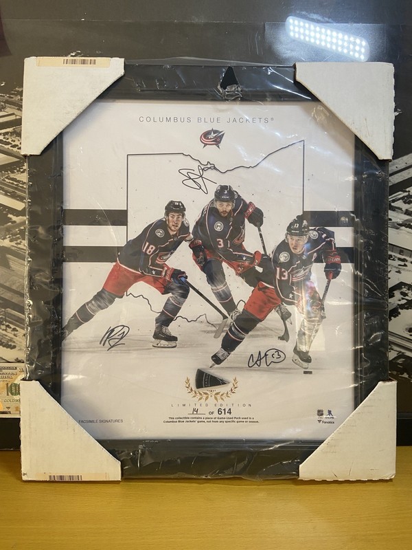Columbus Blue Jackets Framed 15x17 Triplets Collage - Fanatics #'d 14/614