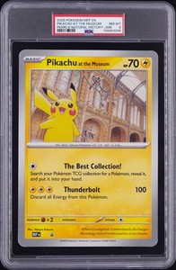 Pikachu at the Museum | eBay