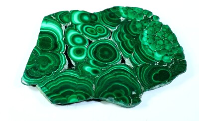 454 CT NATURAL FLOWER PLUME MALACHITE POLISH SLAB TILE UNTREATED GEMSTONE MJ-156
