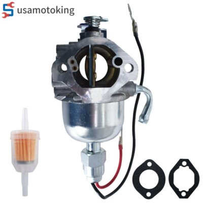 Carburetor carb For Briggs & Stratton 825656, 825569, 825377 DM950