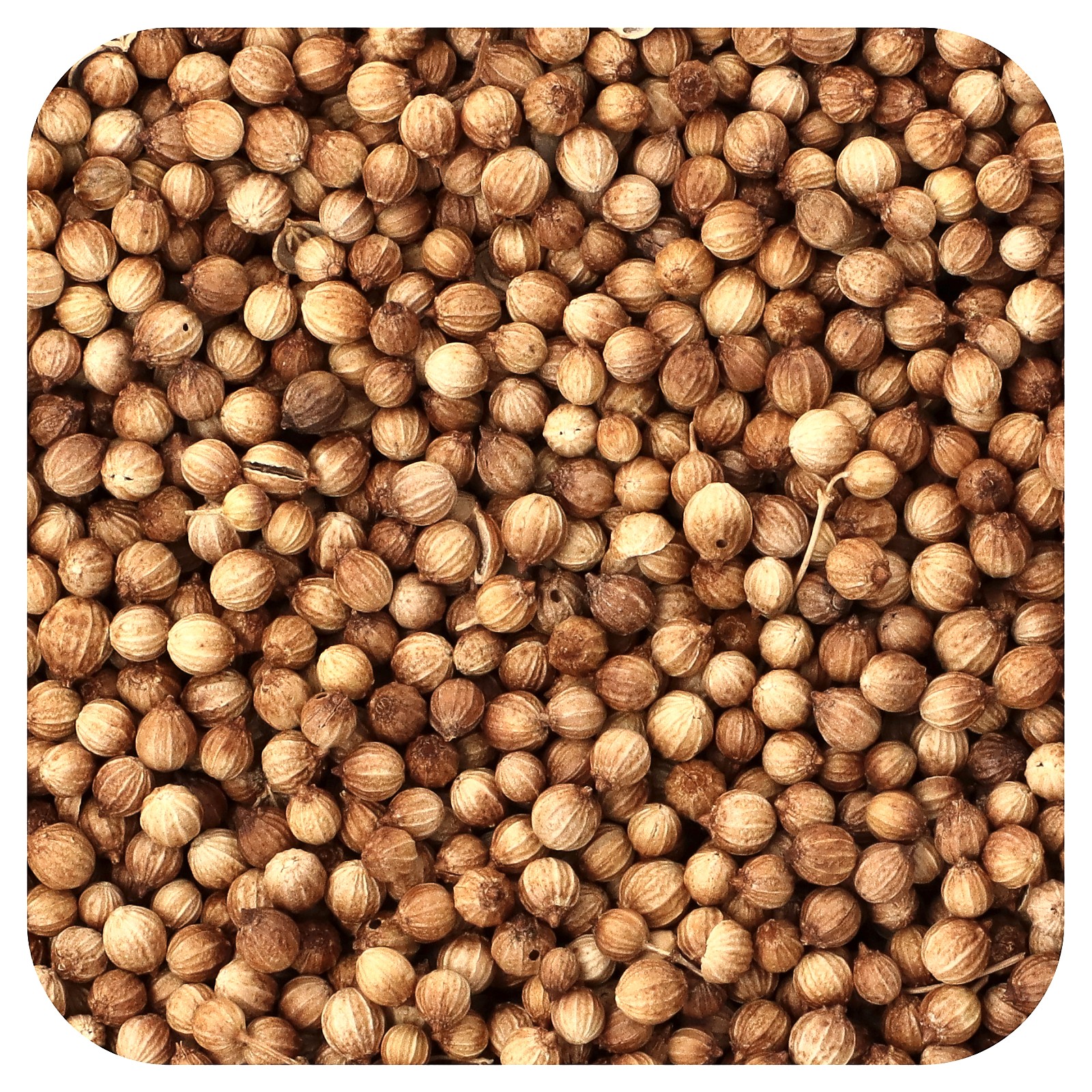 Organic Whole Coriander Seed 16 oz 453 g 3590₽