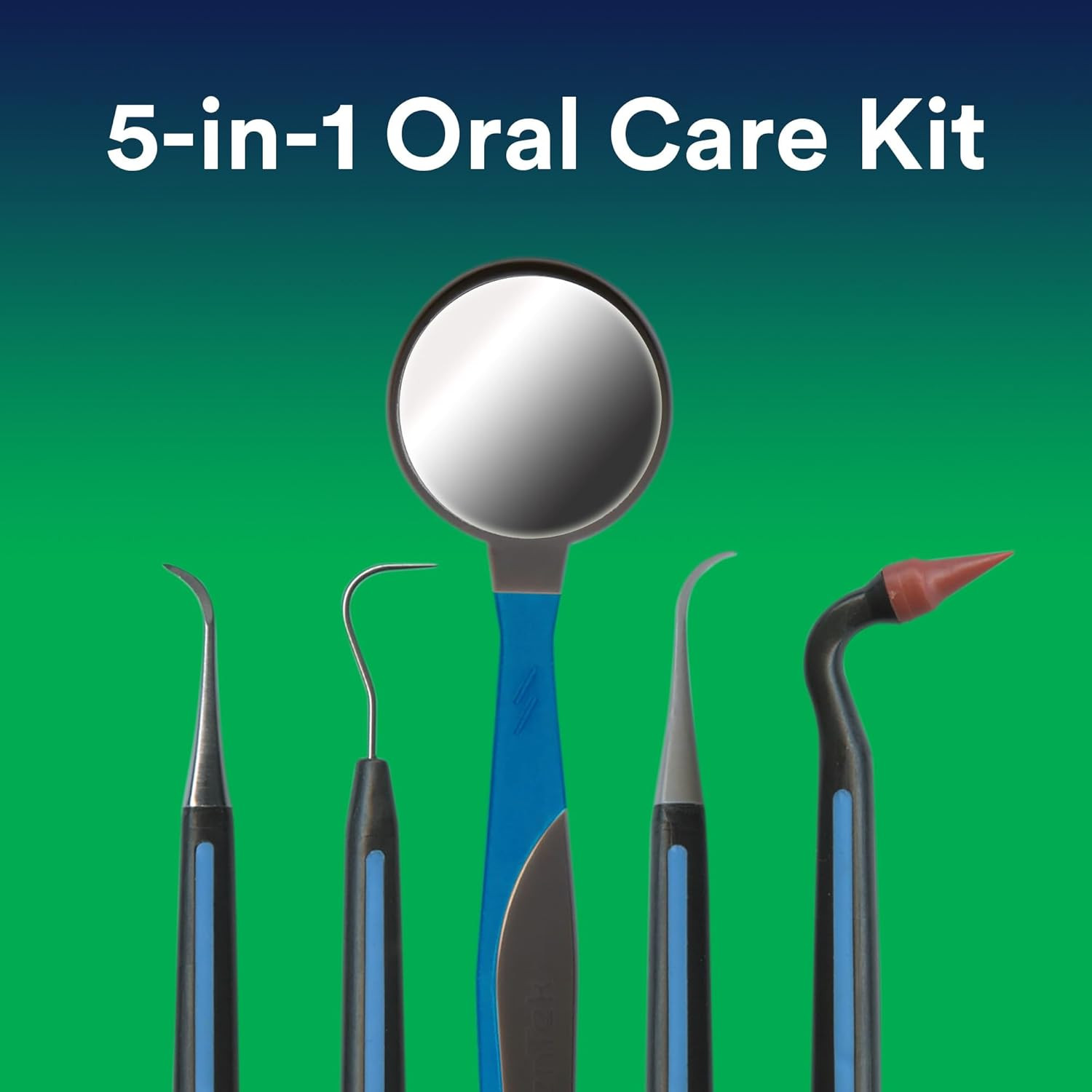 Professional Oral Care Kit, Complete Set of Dental Tools Including Mirror, Denta