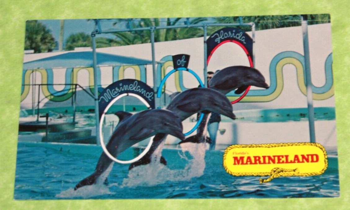 Vintage Souvenir Travel Postcard Marineland Of Florida