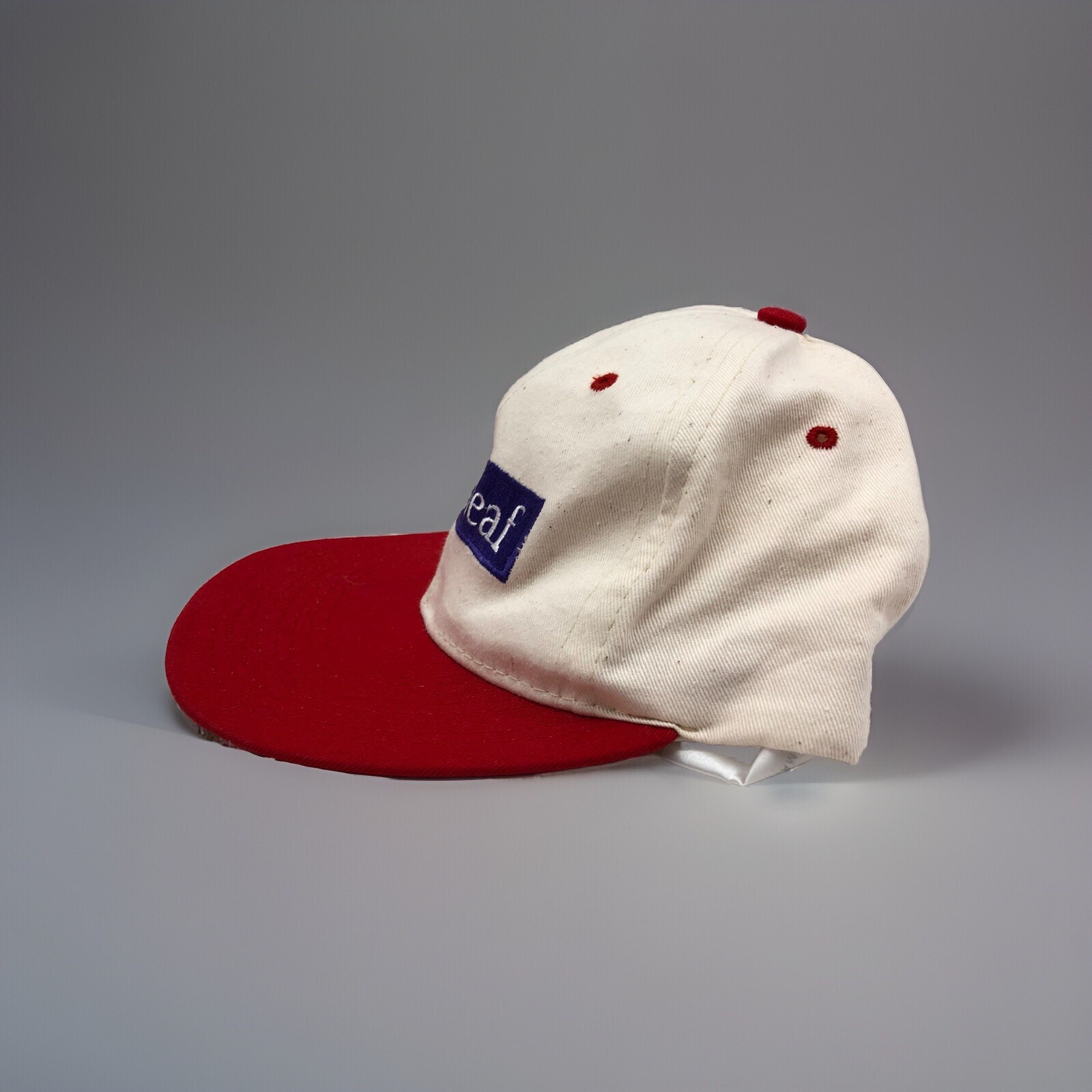 Vtg Interleaf Hat Cap Strapback Tech Software Com… - image 5