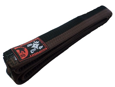 Budogürtel Grün-blau Gestreift - Für Judo, Karate, Taekwondo Kampfsport