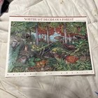 US 2004 Scott 3852 Northeast Deciduous Forest Nature Of America MNH Sheet #7 — photo 1