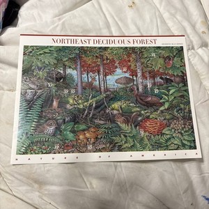 US 2004 Scott 3852 Northeast Deciduous Forest Nature Of America MNH Sheet #7