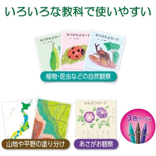 Lápices de colores Pentel escuela primaria GCG1-12P3 12 colores + 3 colores [62u] Foto 3 de 4