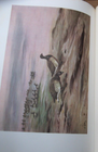 Bild 7 von 24