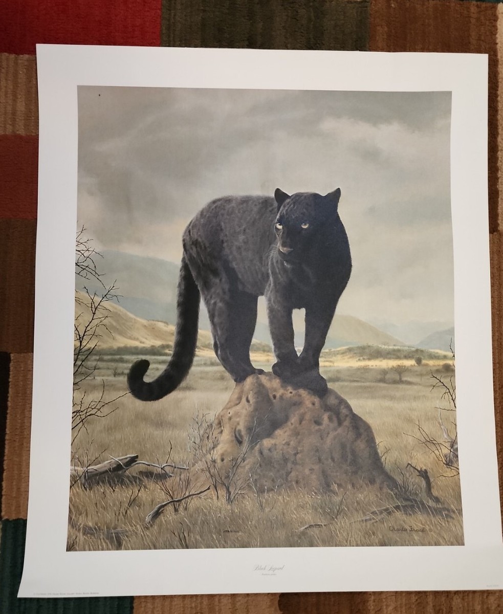 平地/Plains LEB Signed Artist Proof 平地/Plains LEB Signed Artist Proof