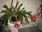 Picture 9 of 10