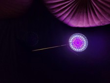 Timer LED Pflanzenlampe Vollspektrum Pflanzenlicht Wachstumslampe mit Standfuß