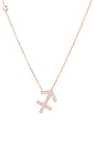 Latelita Sternzeichen AnhäNger Kette Zirkonia Skorpion 925 Silber RoséGold