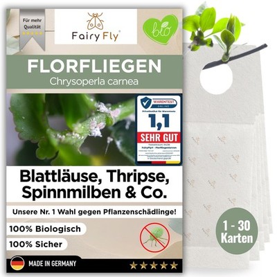 Florfliegenlarven gegen Blattläuse, Wollläuse & Milben 1 - 30 Karten | FairyFly 
