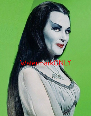 Yvonne De Carlo ''The Munsters'' ''Lily'' 60's TV Show ''Pin Up'' PHOTO! (34)