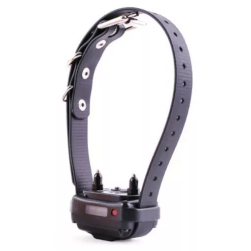 Smallest e cheap collar