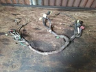 1991 Honda VT600 Shadow - Wiring Loom Harness