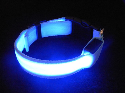 LED Glow Collar Dog Puppy Pet Flashing Light Safety Glow In The Dark FAST POST - Picture 45 of 81