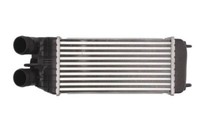 Thermotec DAP003TT LadeluftküHler TurboküHler FüR DS 3 Citroen C3 Picasso C4