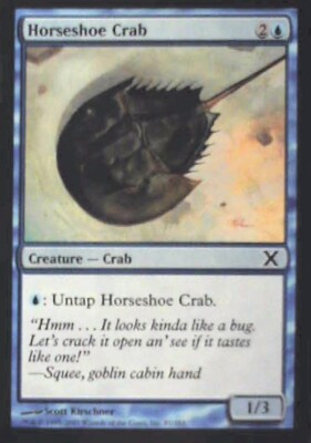 Horseshoe Crab - 10th Edition: #87, Magic: The Gathering Nm R106