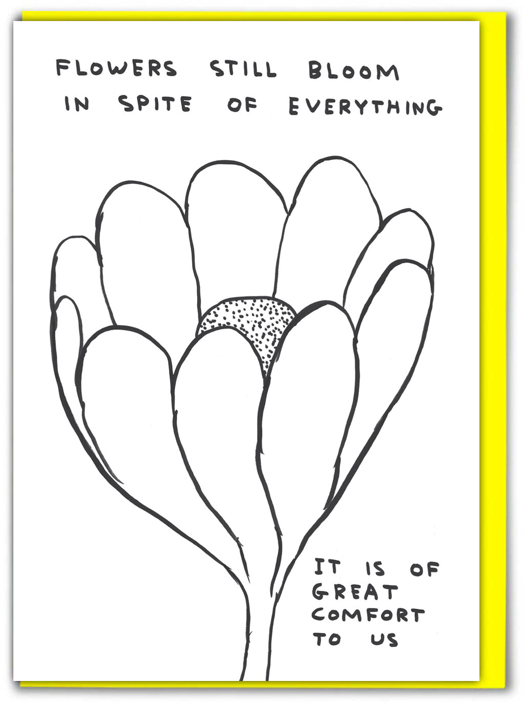 David Shrigley Funny Birthday Greeting Card Hilarious Humour Witty Cheeky