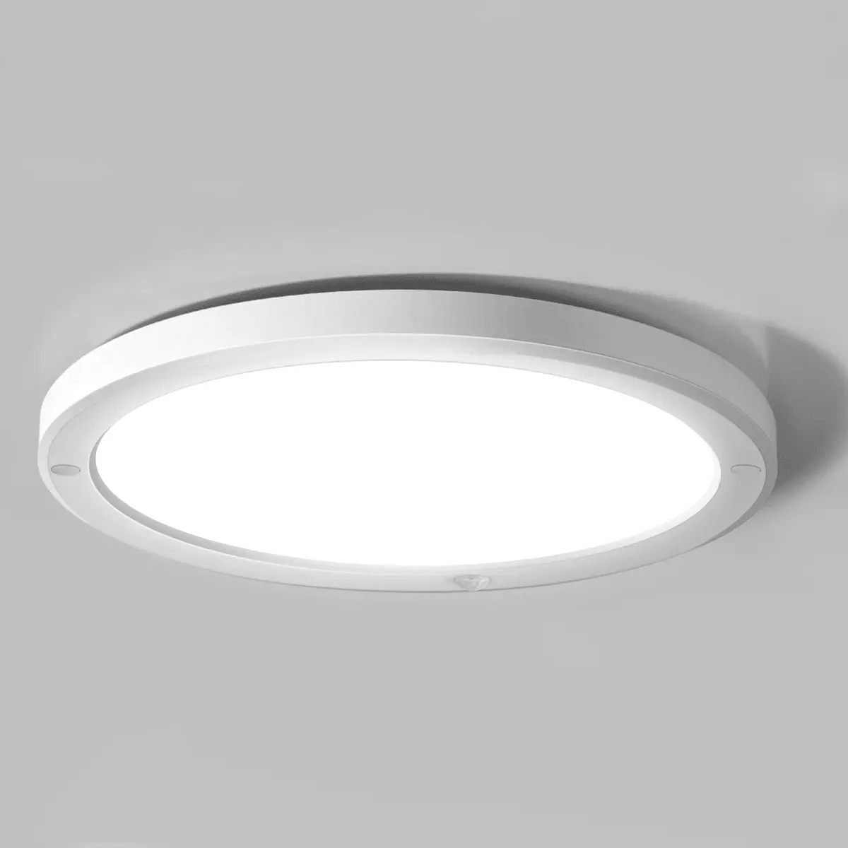 Ceiling mount on sale motion light