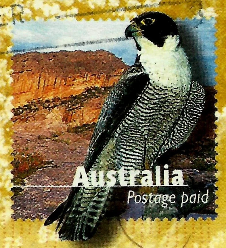 AUSTRALIA, AEROGRAMA, HALCÓN, FDC, AÑO 2001 Foto 2 de 3