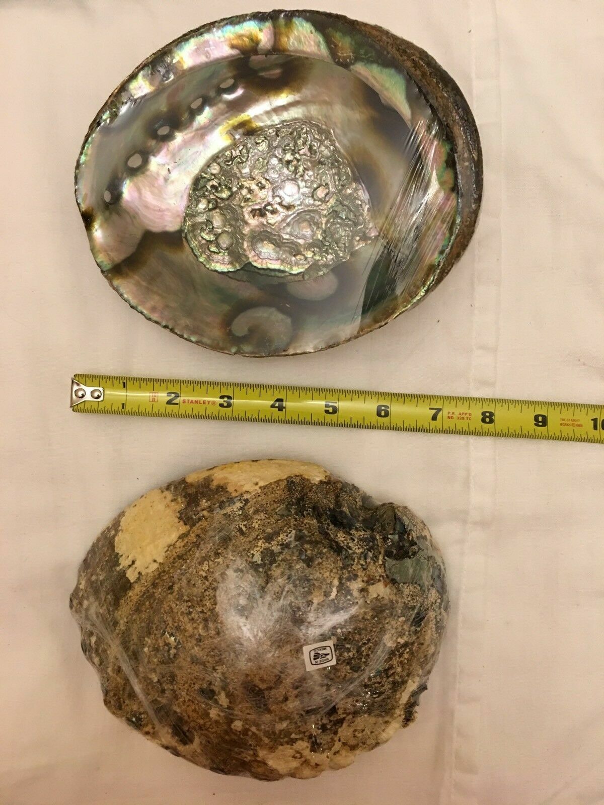 Picture 4