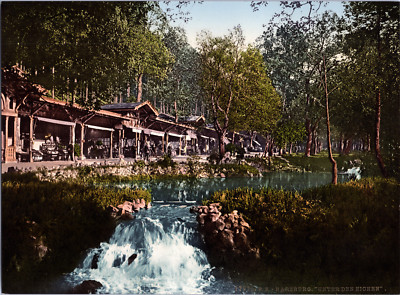 Germany, Bad Harzburg. Under the Oaks.   vintage photochrome print, wine